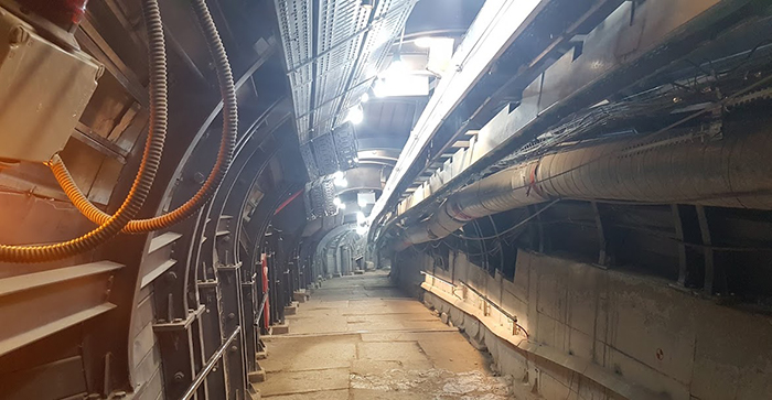 Old and New Discoveries in the City of David