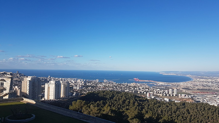 להפוך מדבר לכרמל להפוך מדבר לכרמל