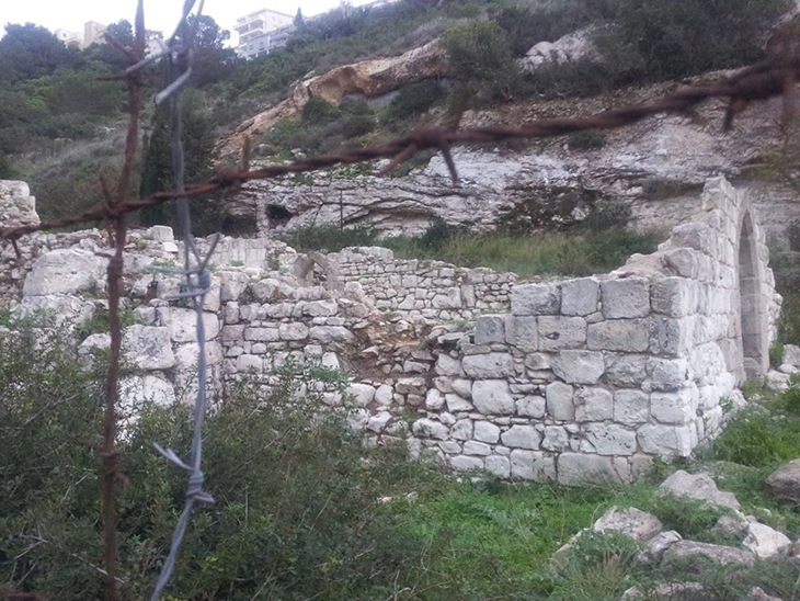 נחל שיח