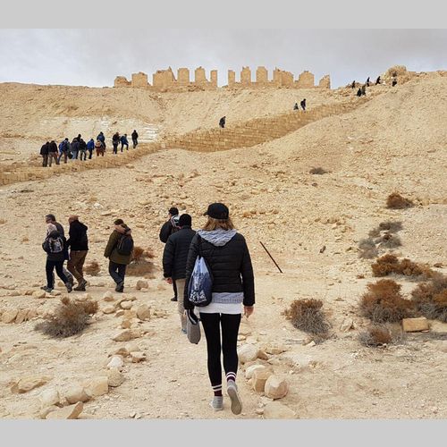 הסיורים של אולה גולפנד